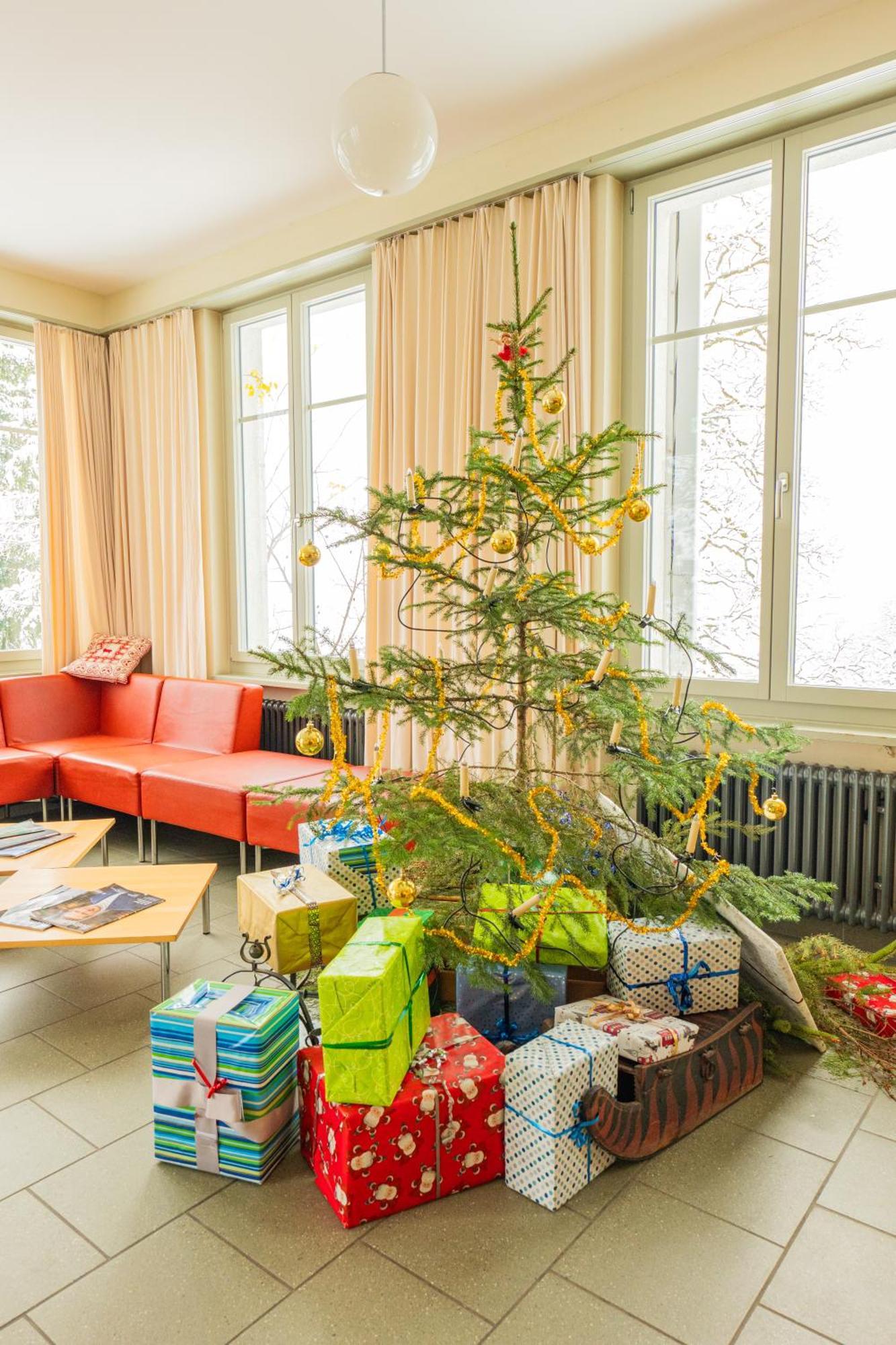 Grindelwald Youth Hostel Екстериор снимка